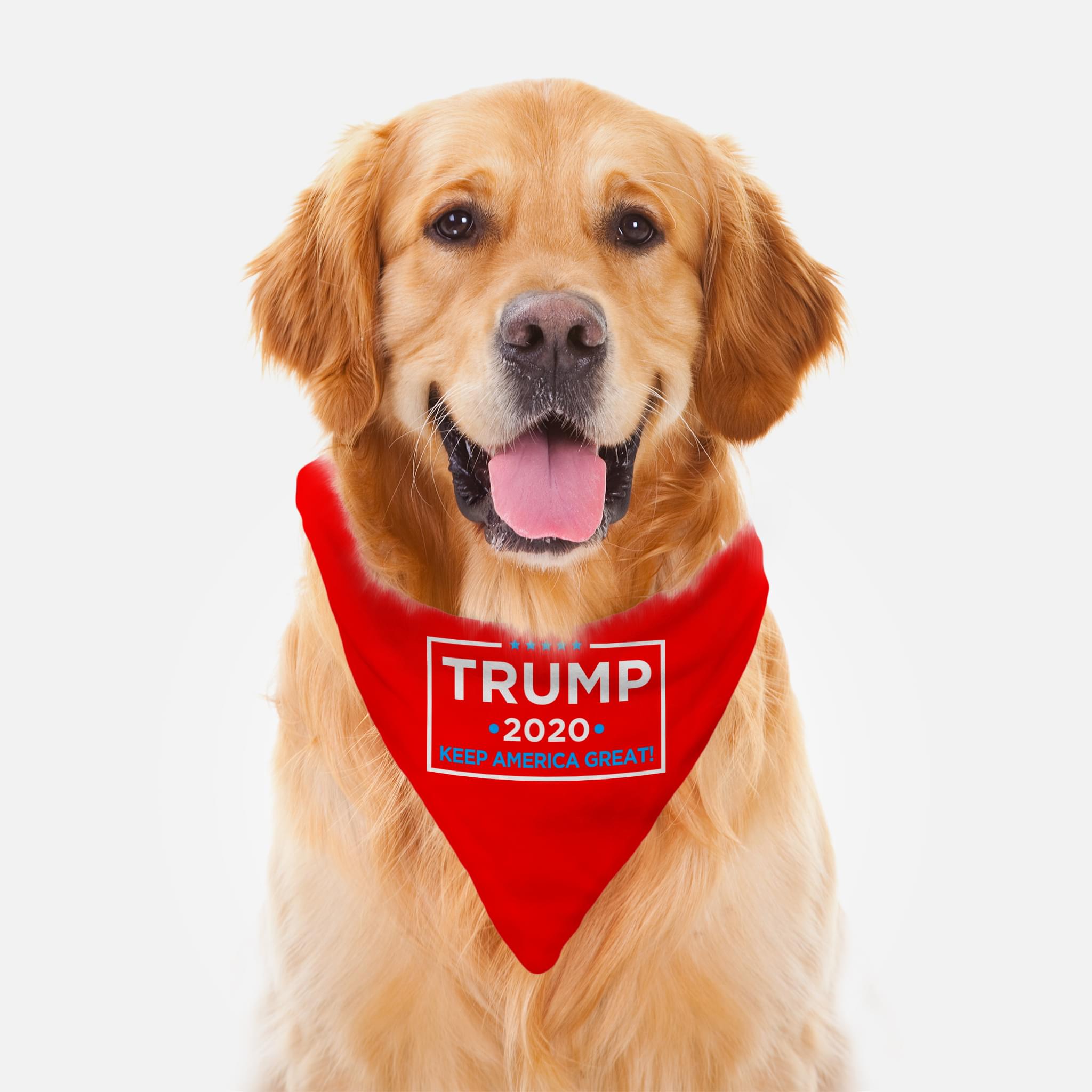 Free Bandana | Republican Dogs